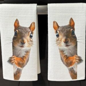 Squirrel Kitchen Towels Set Waffle Microfiber Decorate Kitchen Towels