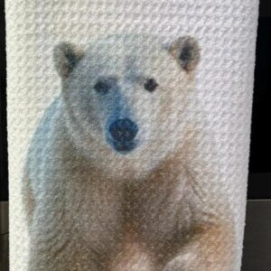 Polar Bear Kitchen Towels Set Waffle Microfiber Absorbent Dish Cloths
