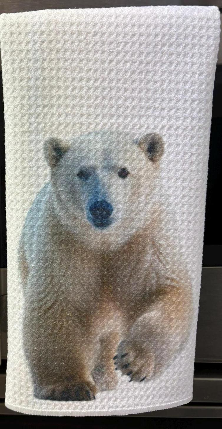 Polar Bear Kitchen Towels Set Waffle Microfiber Absorbent Dish Cloths