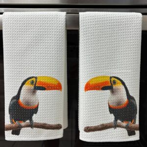 Toucans Kitchen Towels Set Jungle Decor Absorbent Microfiber Dish Cloths