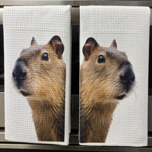 Capybara Decorative Kitchen Towels