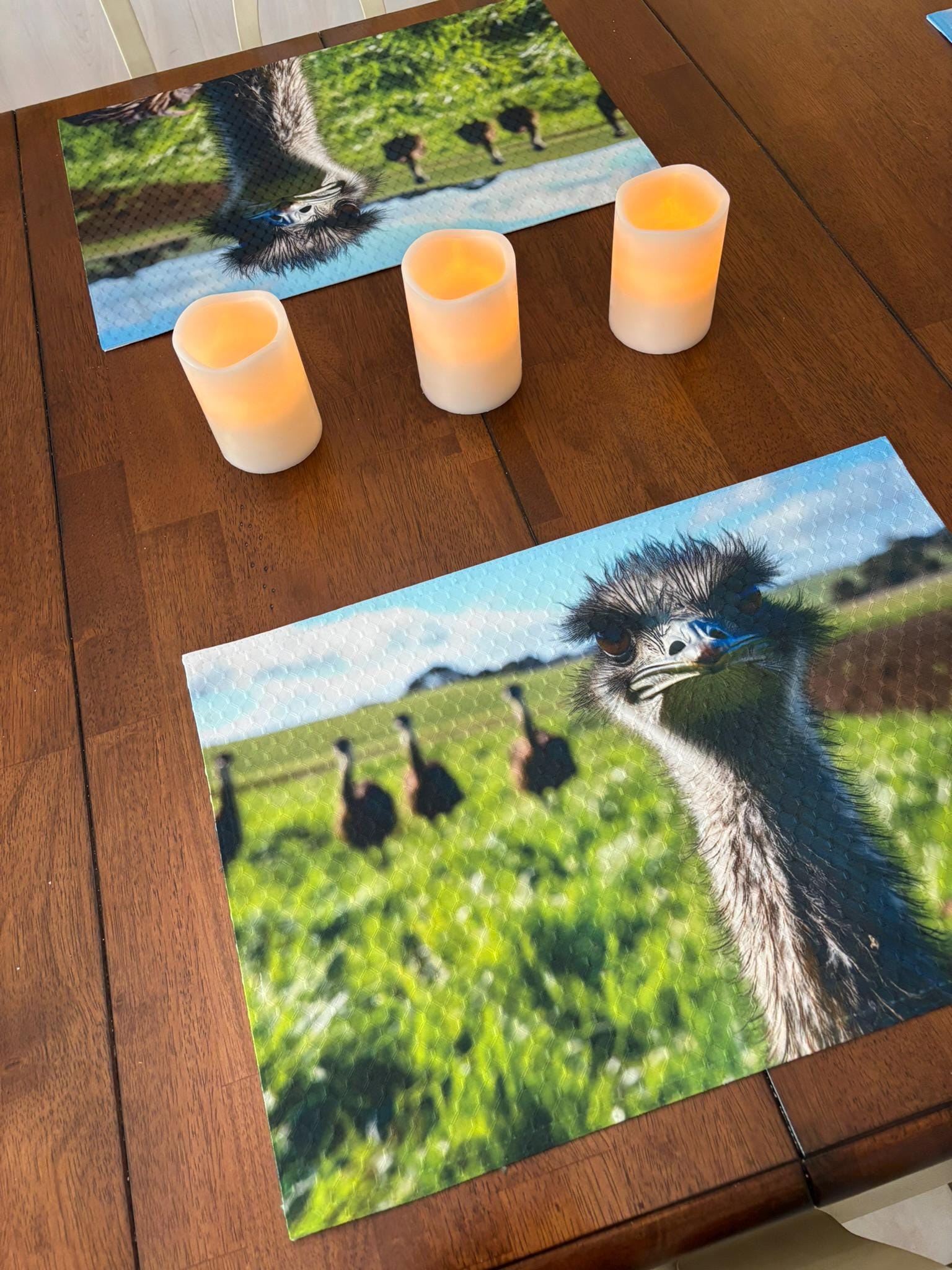 Ostrich with Attitude Dining Placemat Machine Washable Unique Dining Room Decor. - Image 4