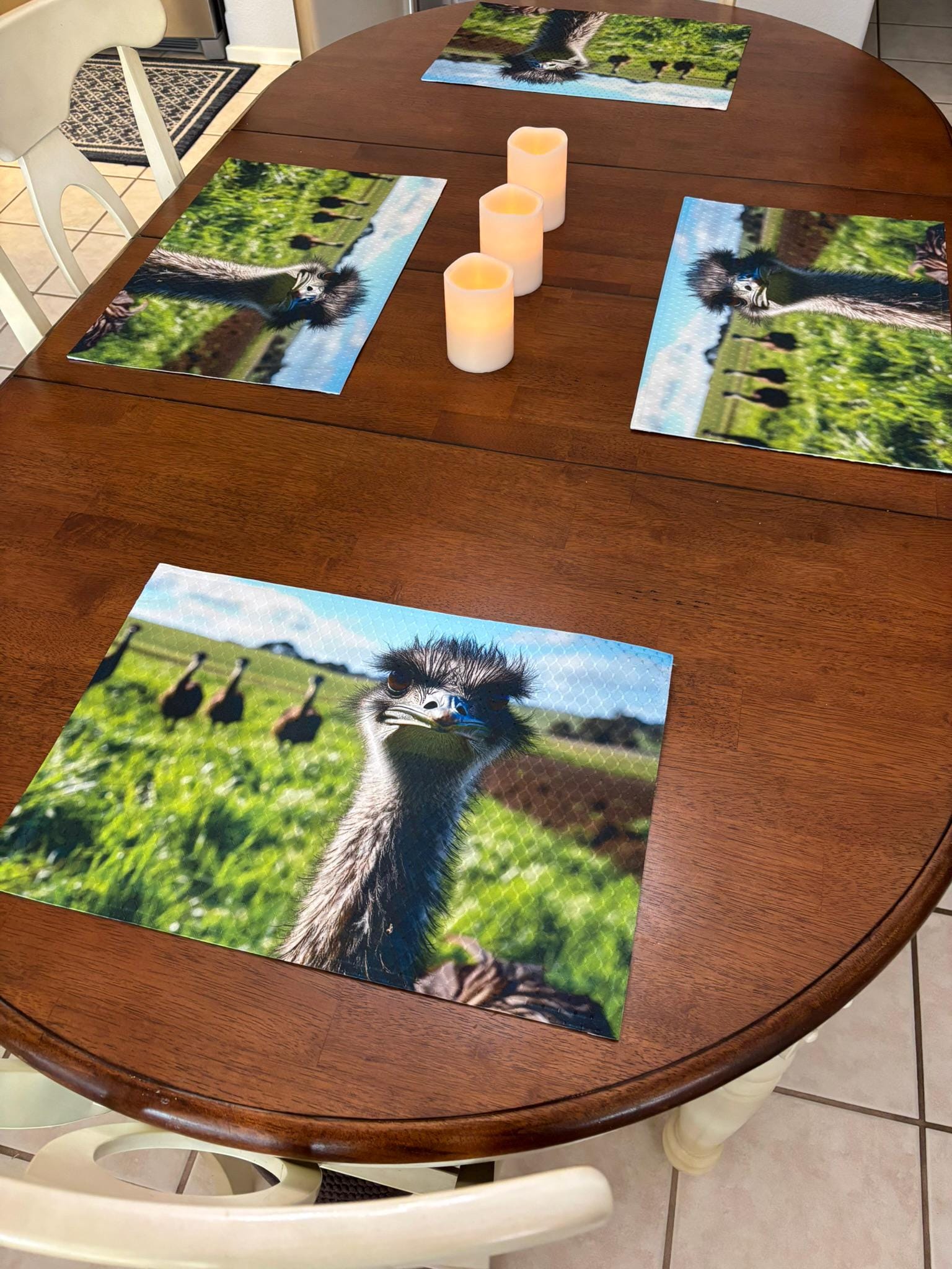 Ostrich with Attitude Dining Placemat Machine Washable Unique Dining Room Decor. - Image 3