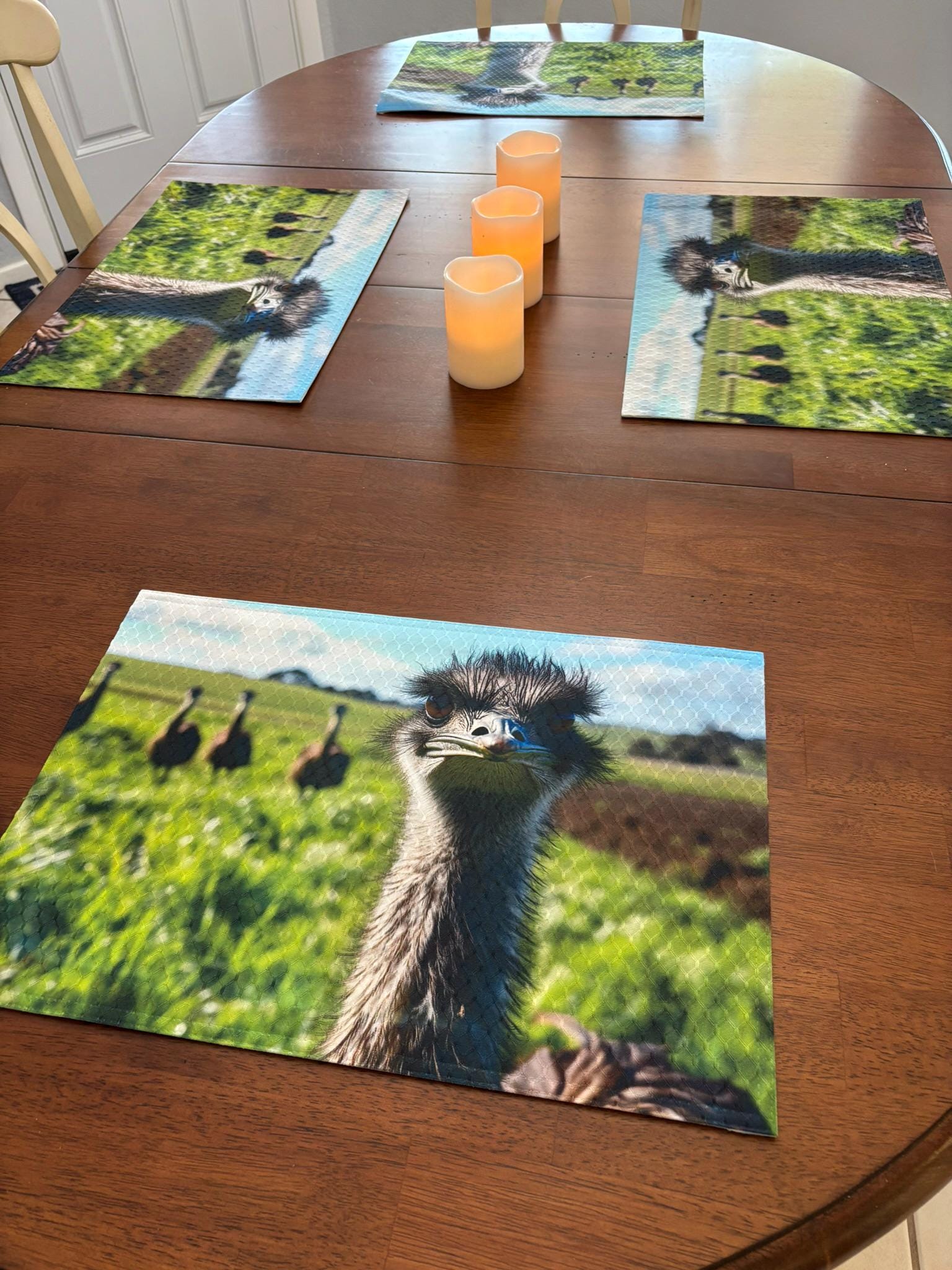 Ostrich with Attitude Dining Placemat Machine Washable Unique Dining Room Decor. - Image 2