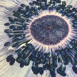 Blue Flower Macro Image Placemat - Summer Flowers - Machine Washable Tumble Dry Dining Room Decor